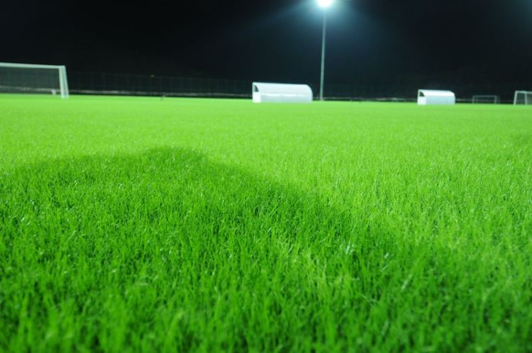 Спортивный газон
