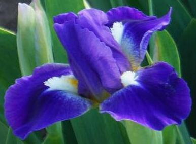 Траджектори