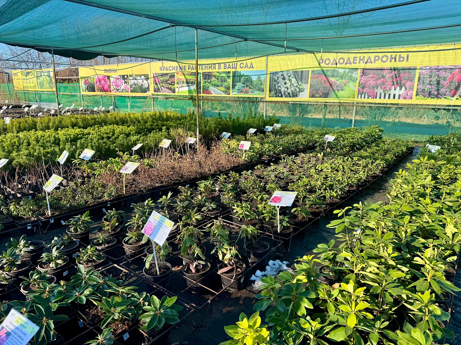 Открытие уличной торговой площадки! 