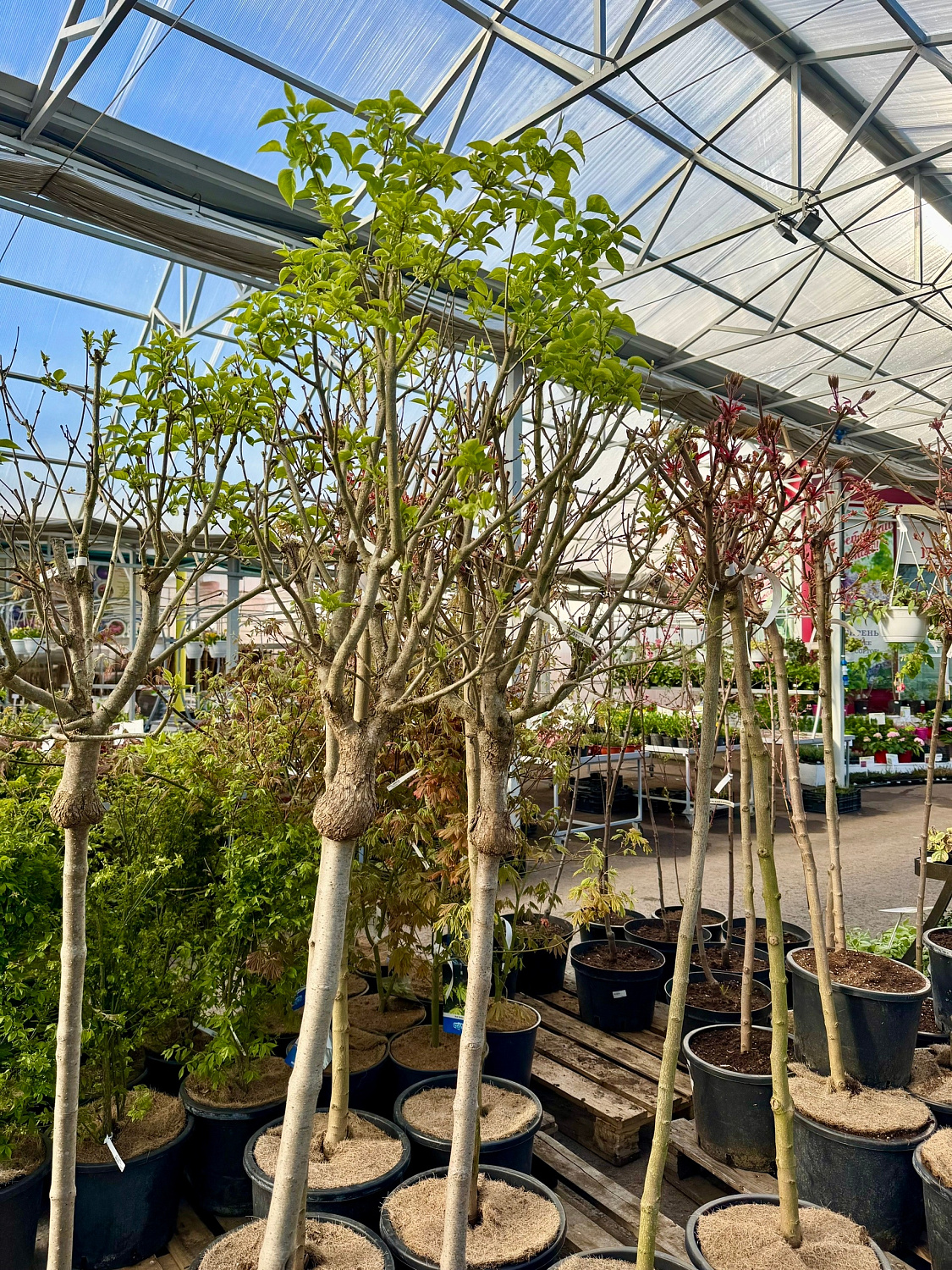 Открытие уличной торговой площадки! 