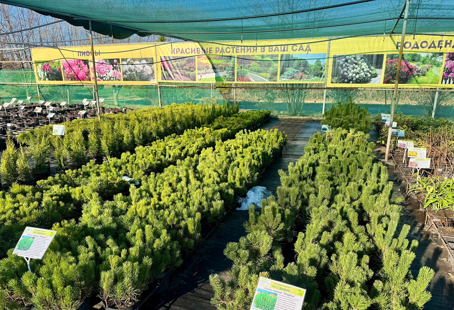 Открытие уличной торговой площадки! 