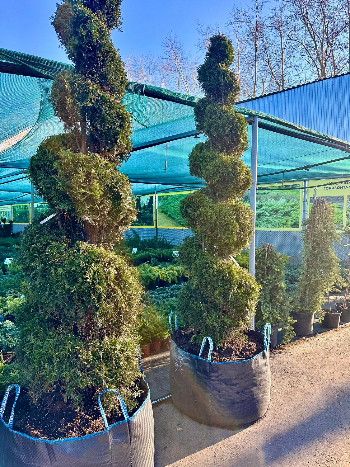 Открытие уличной торговой площадки! 