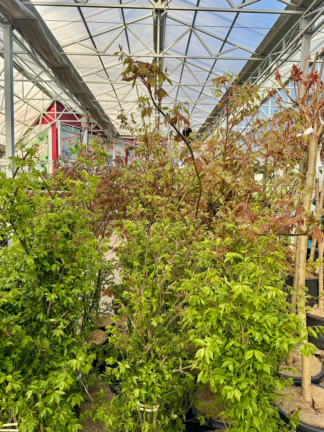 Открытие уличной торговой площадки! 