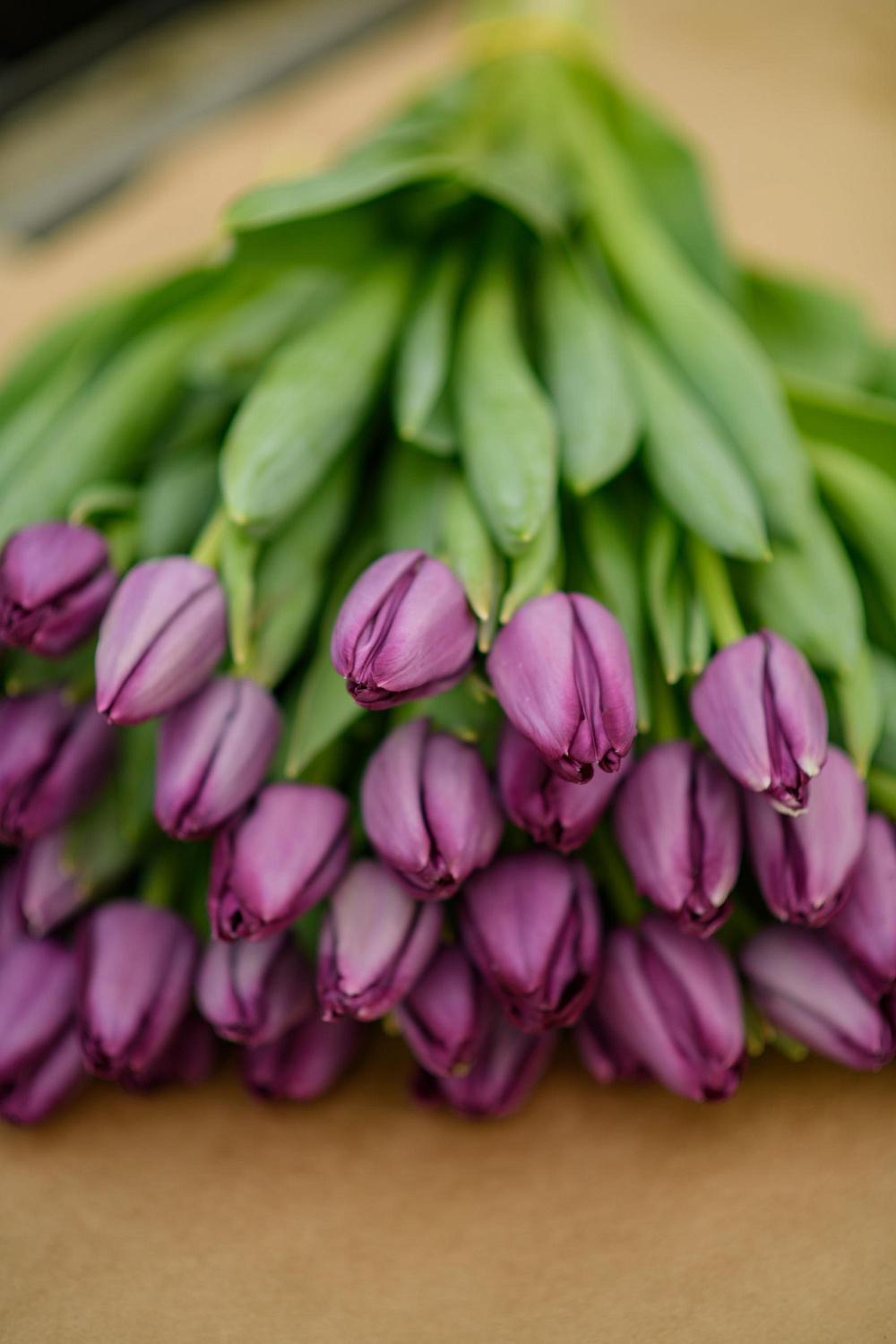 Прием заявок на тюльпаны к 8 марта!